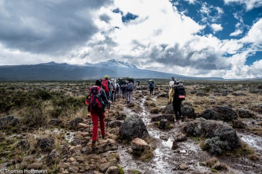 One Day Kilimanjaro Trek to Mandara Hut- Marangu