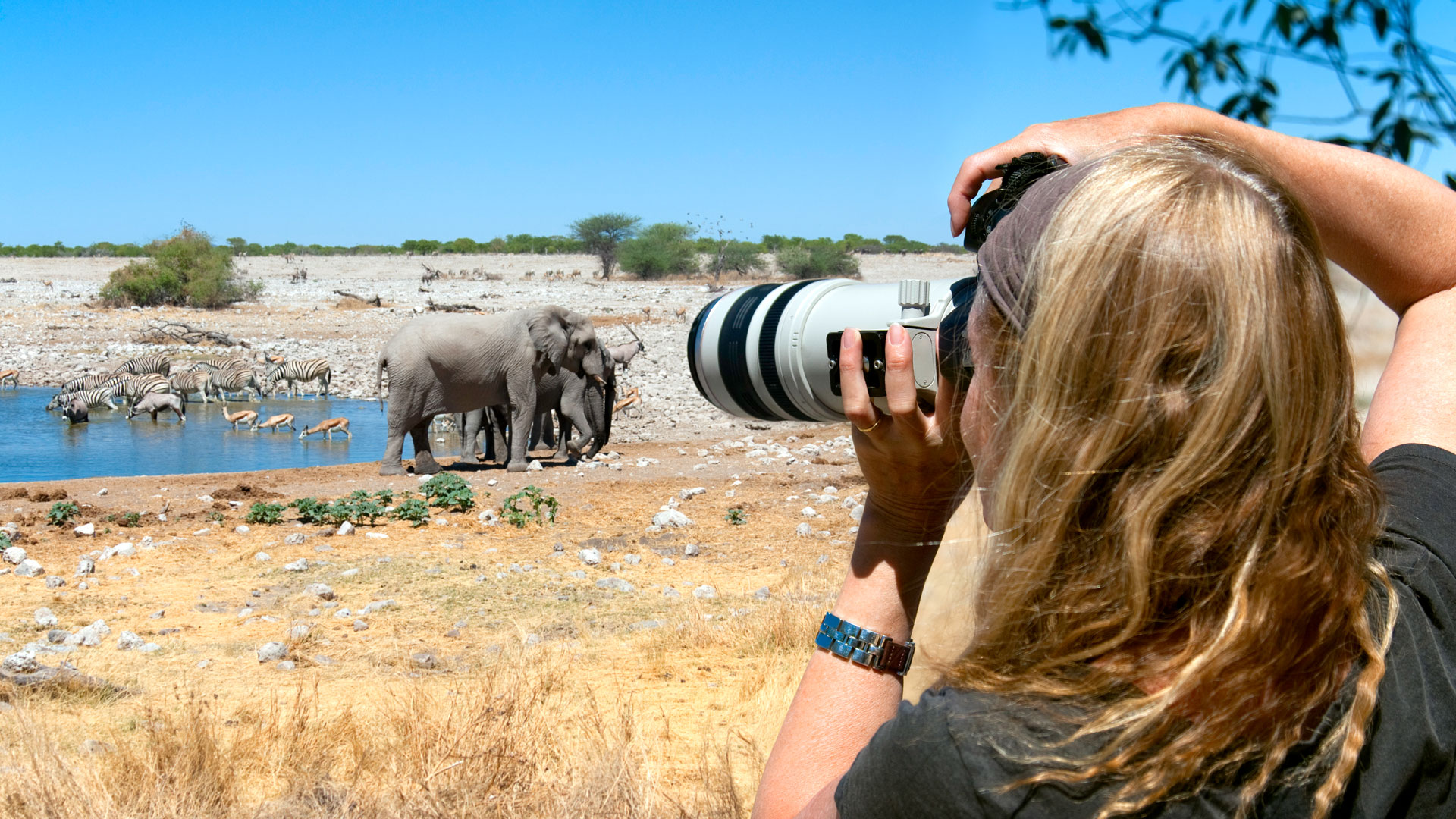 6 Days Kenya Photographic Safari