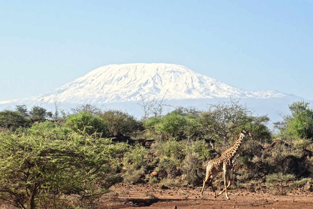 Kilimanjaro National Park