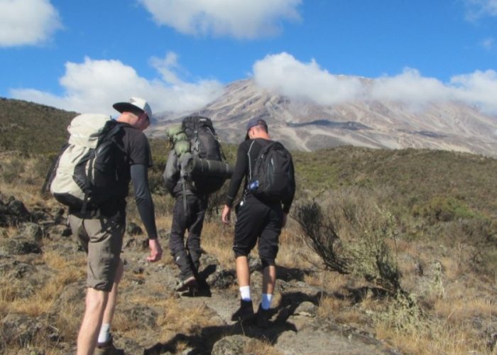 One day Marangu route Kilimanjaro trek