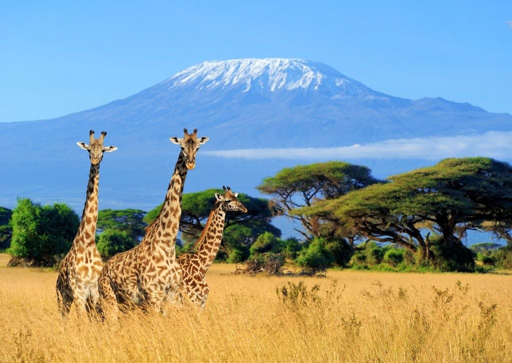 what-does-kilimanjaro-mean-in-swahili