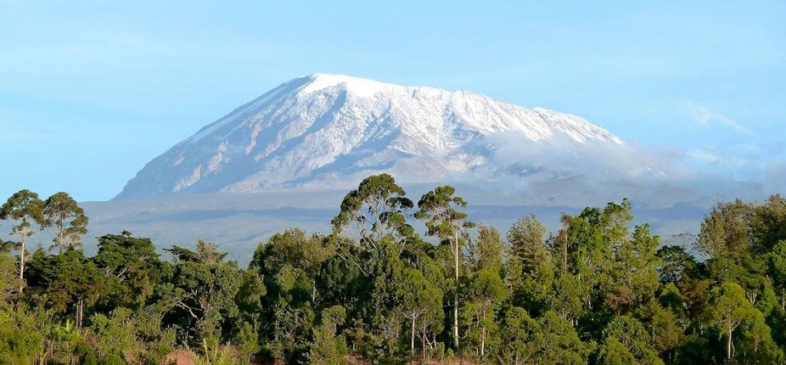 Kilimanjaro views on a day hike